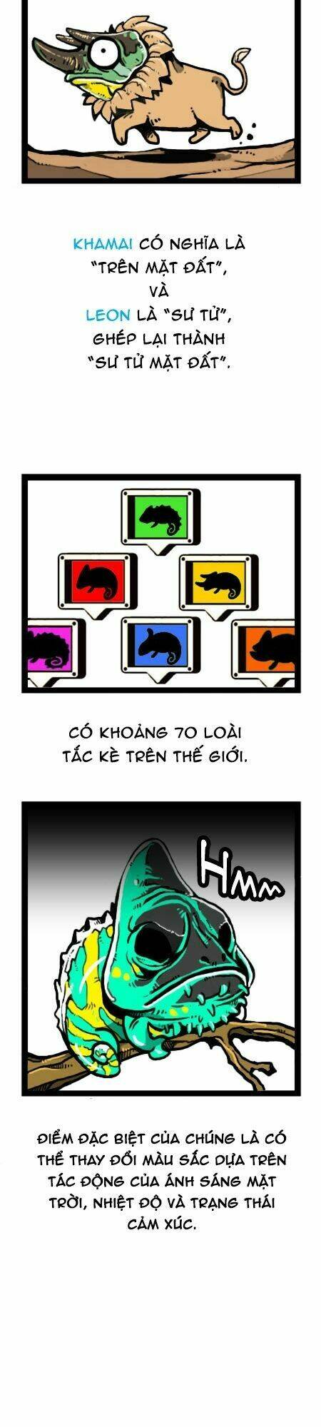 earth, human, and animal chapter 19 8