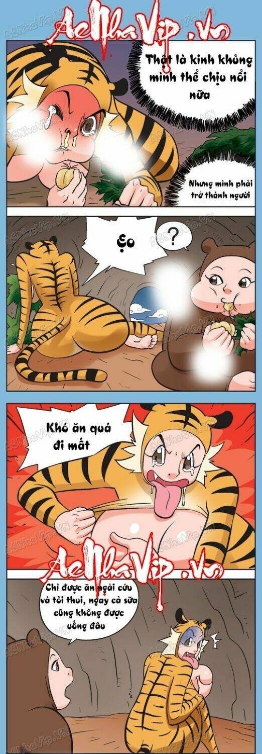 nàng hổ chapter 8 1