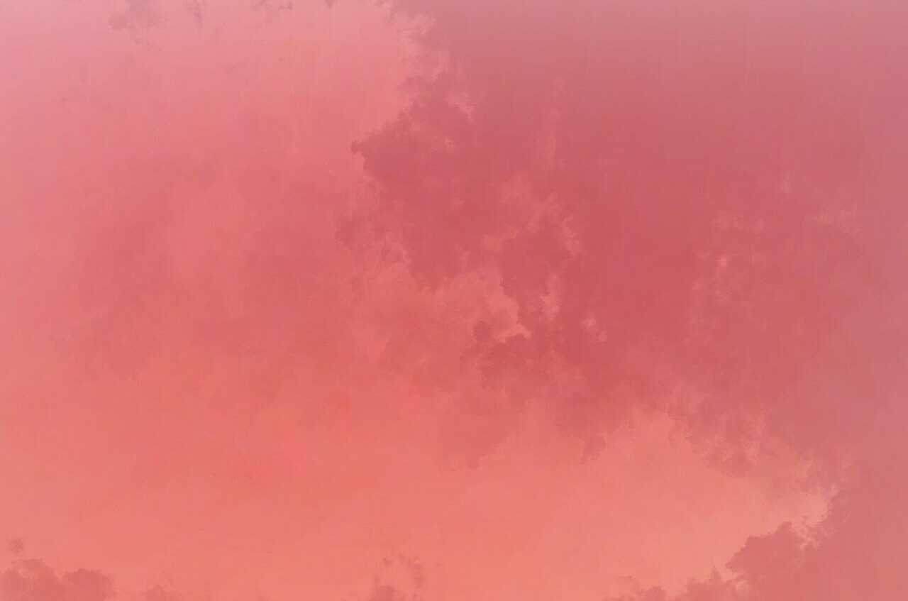 chàng dâu nhà họ kang chapter 28 15