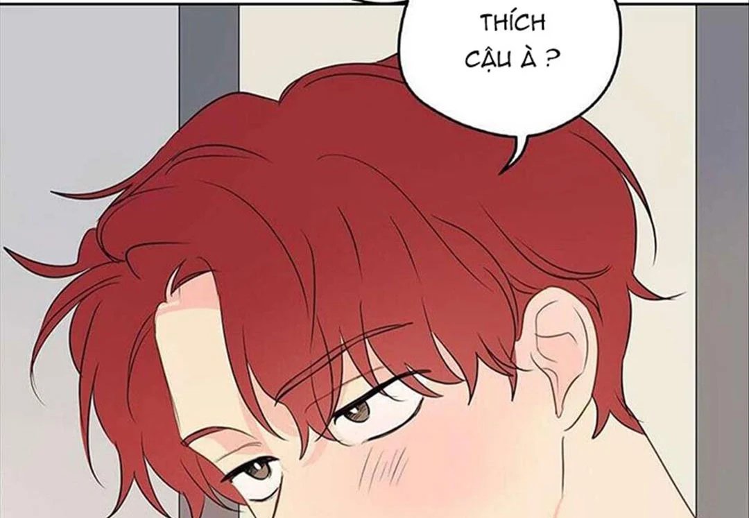 chuyện quái gì với giấc mơ đó vậy chapter 30 39