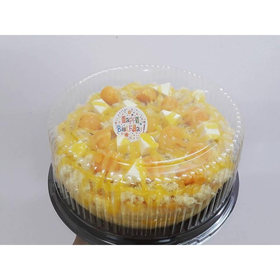 50c Hộp nhựa A024 đựng bánh bông lan trứng muối 20cm - Hộp đựng rau câu 3D 20cm - Hộp đựng bánh bao đào tiên