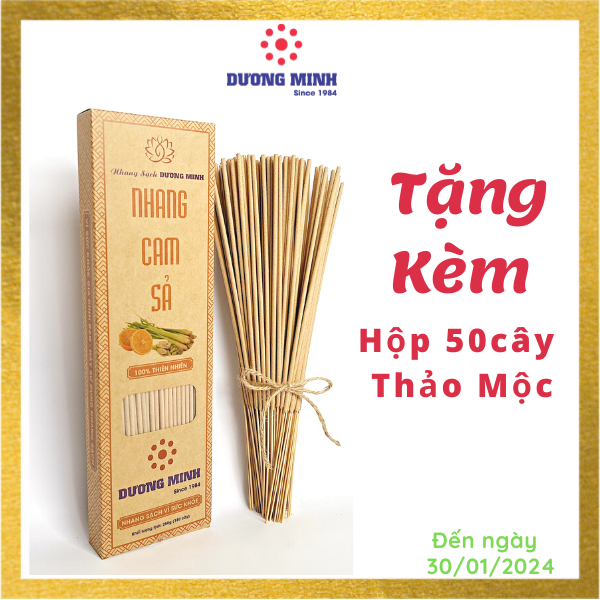 Hương nhang Cam Sả Dương Minh 180cây nhang 30cm nhang sạch 100% thành phần tự nhiên - nhang cây thắp cúng/xông nhà/đuổi muỗi, hương nhang thơm dịu nhẹ an toàn