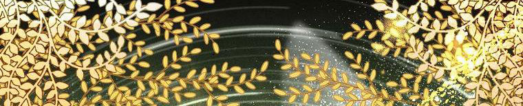 tôi sẽ cố gắng bảo vệ em gái chapter 26 181