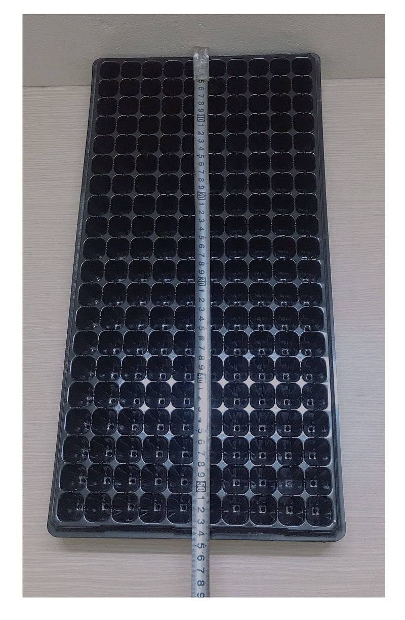 10 Khay Nhựa PVC 200 Lỗ Ươm Cây Tiện Lợi, Dễ Sử Dụng, Tích Kiệm Diện Tích - Khay nhựa ươm cây 200 lỗ!