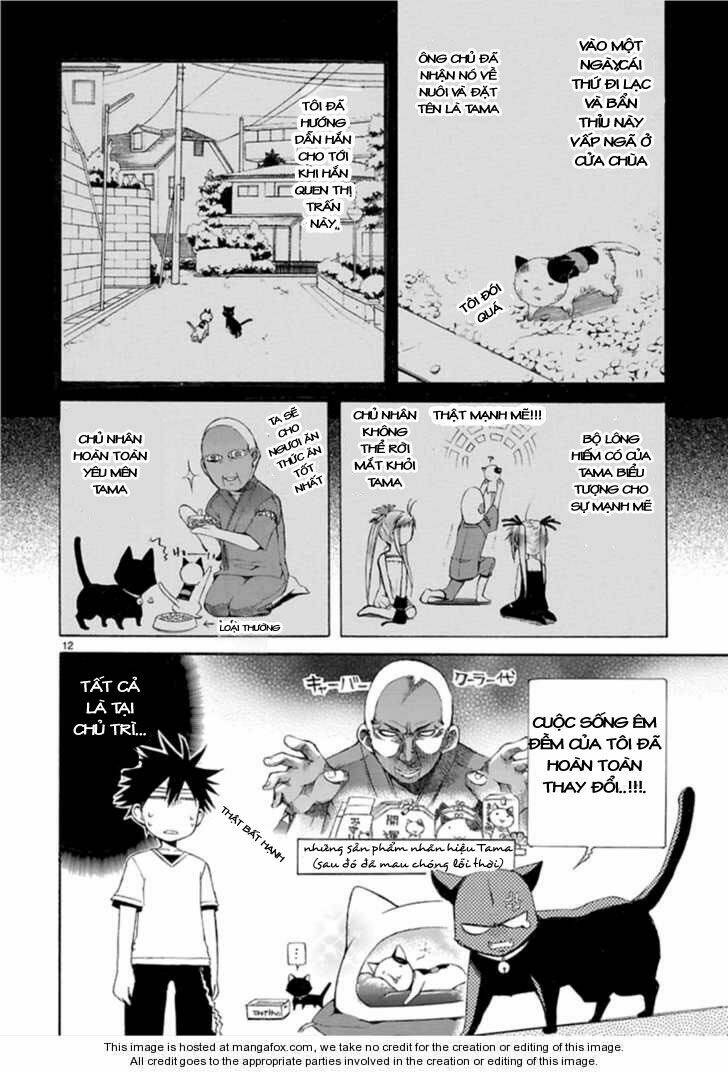 nyankoi! chapter 13 13