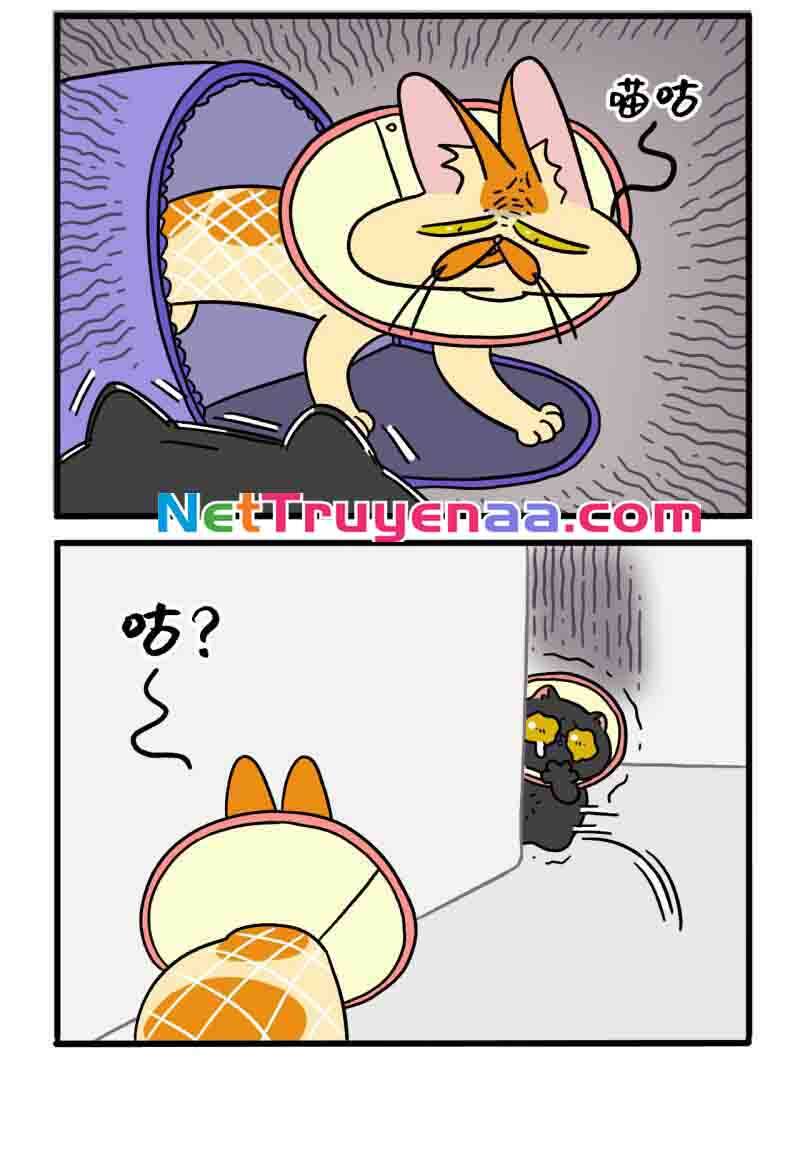 a mãn và mạch trà chapter 22 4