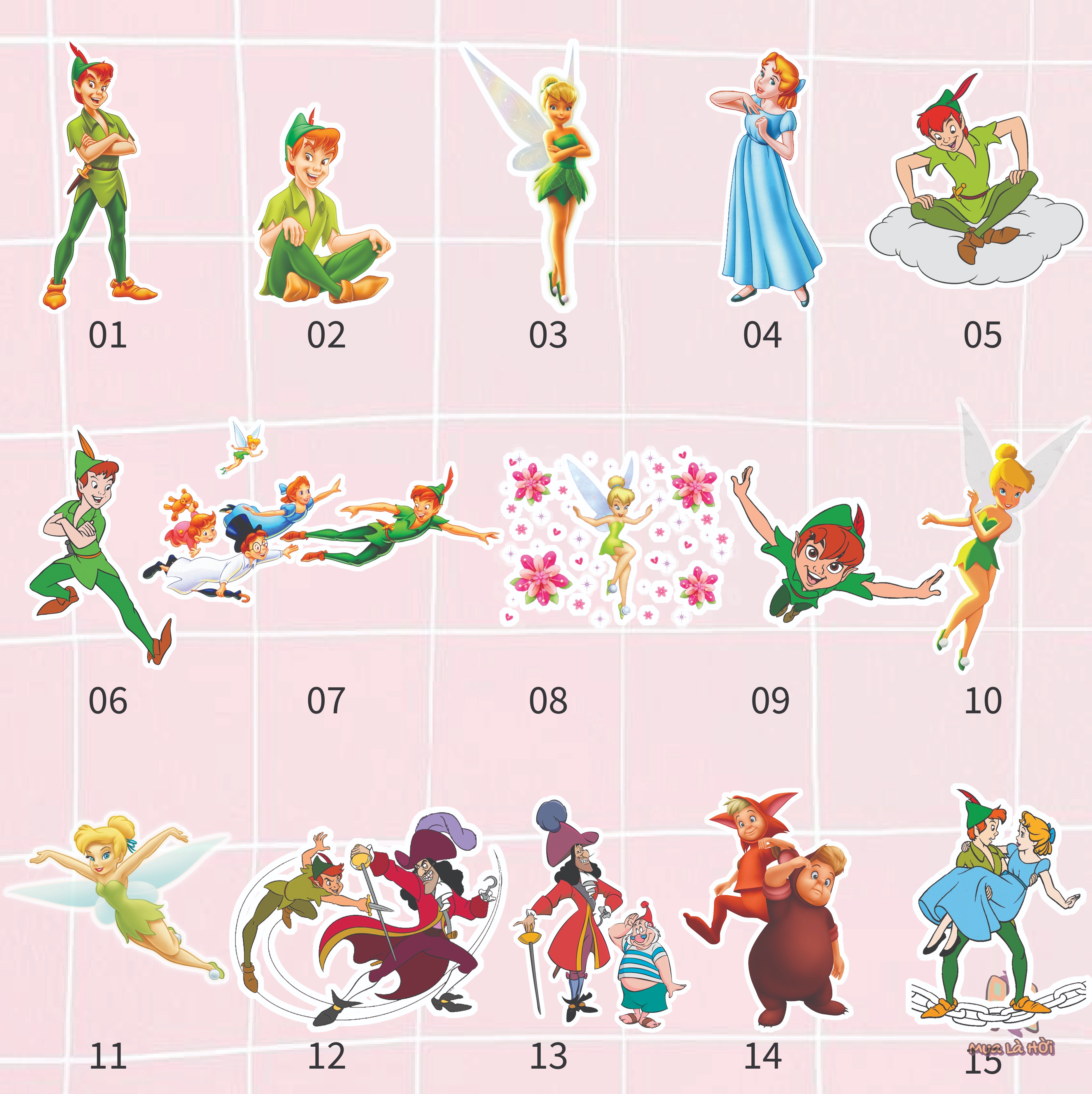 Túi Tote in hình chủ đề Peter Pan