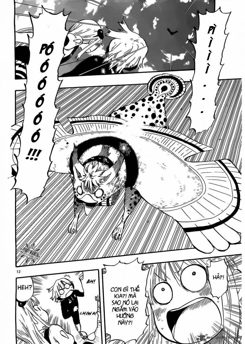 anagle mole chapter 12 12