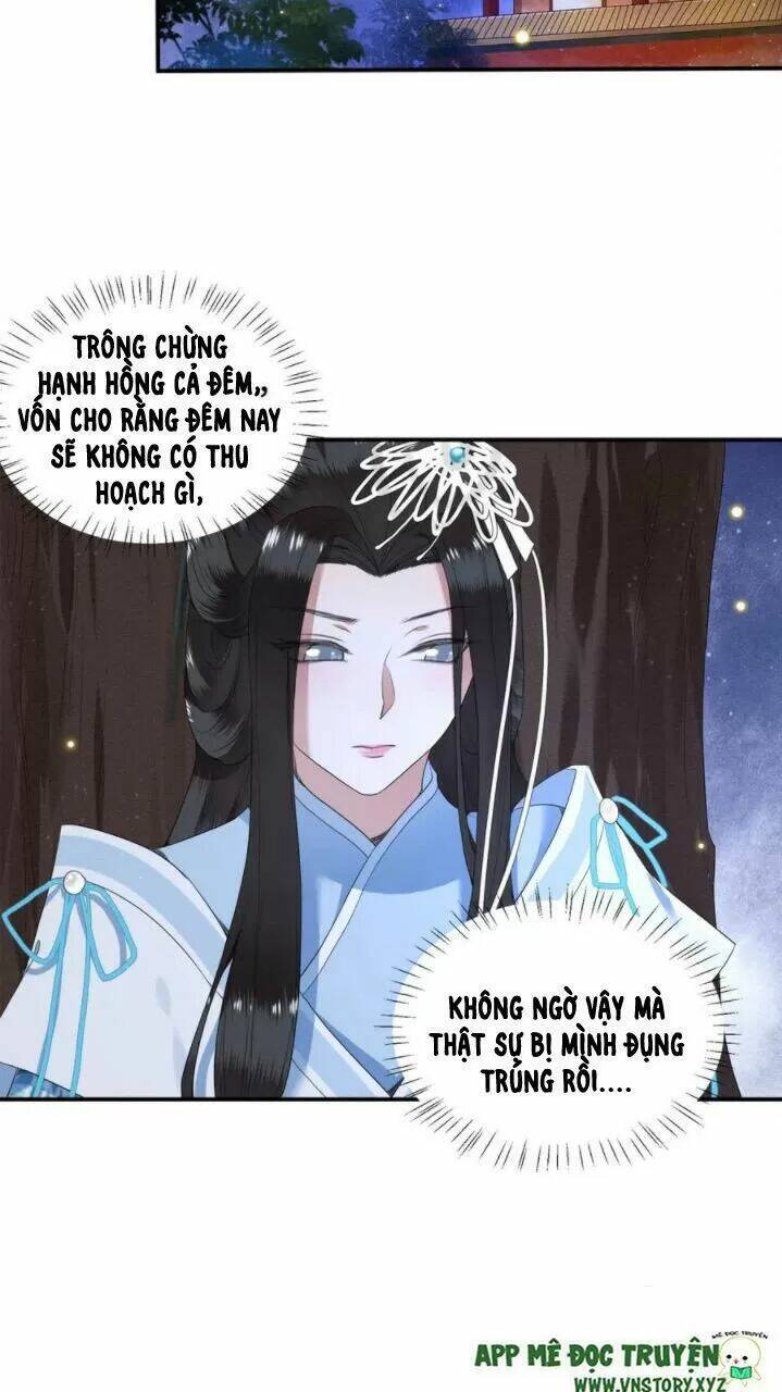 phượng hoàng vu phi chapter 71 16