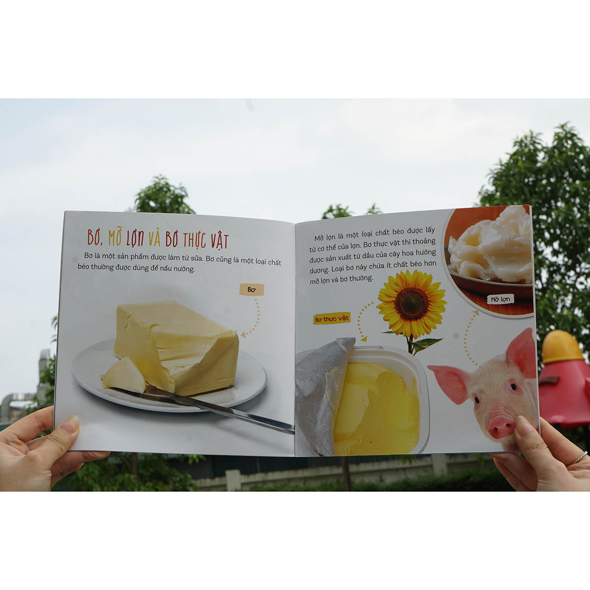 Combo : Healthy eating - Ăn uống lành mạnh