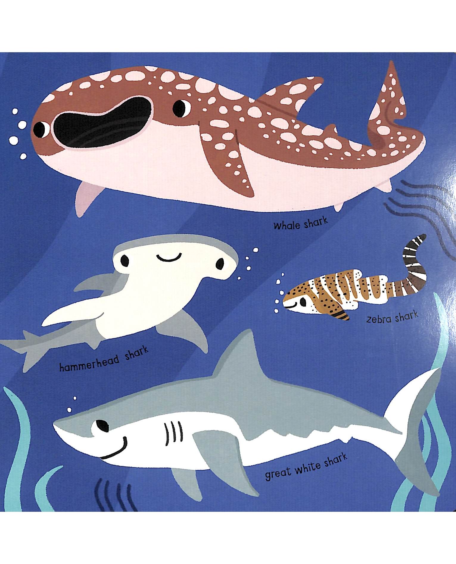 My Little Ocean Explorer: Mirror Book