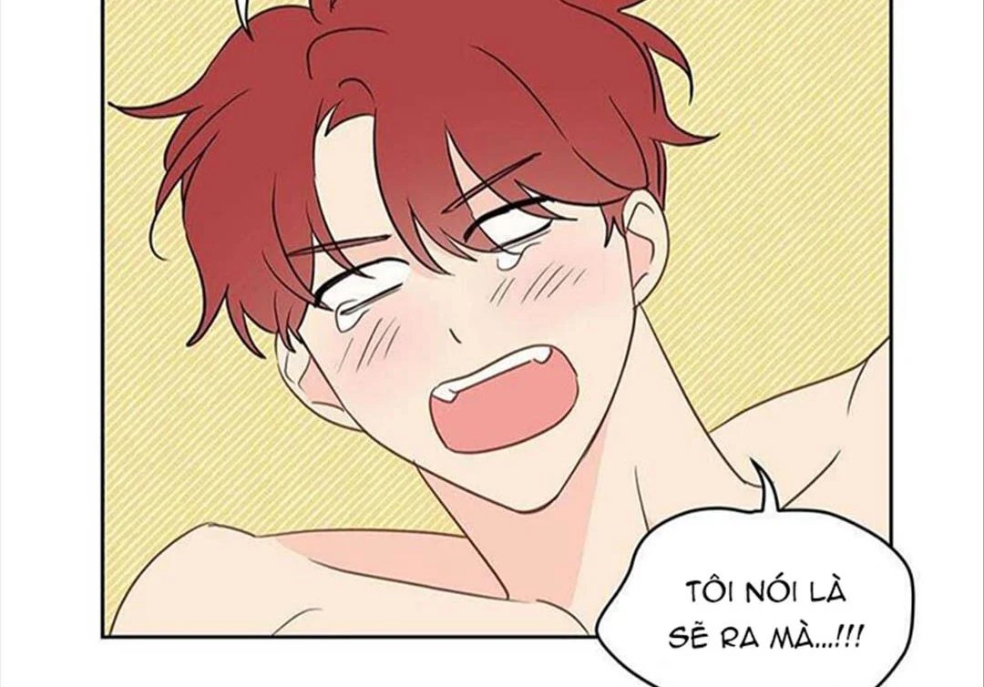 chuyện quái gì với giấc mơ đó vậy chapter 30 46