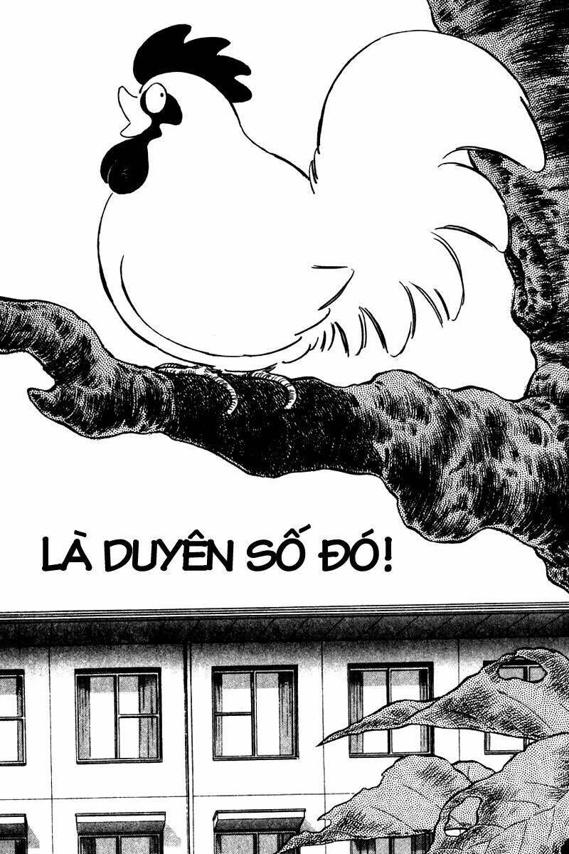 rough - ngọc thô chapter 34 2