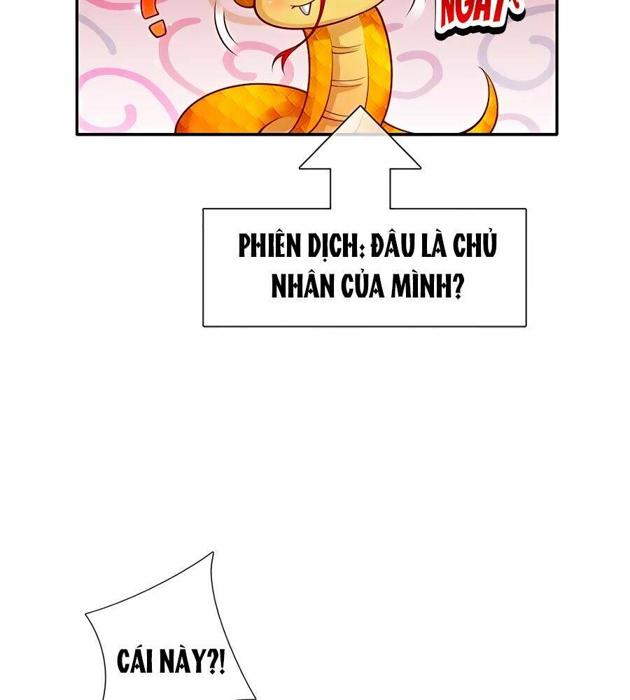 bỗng một ngày trở thành con gái nhà vua chapter 202 22