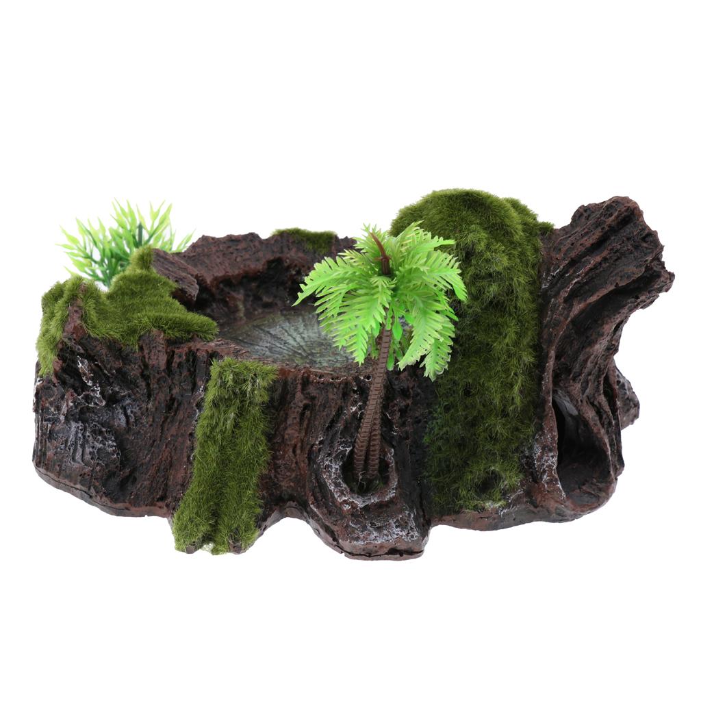 Nhựa Rock Bowl Bát Thức ăn Nước Cho đĩa Bể Chứa Terrarium