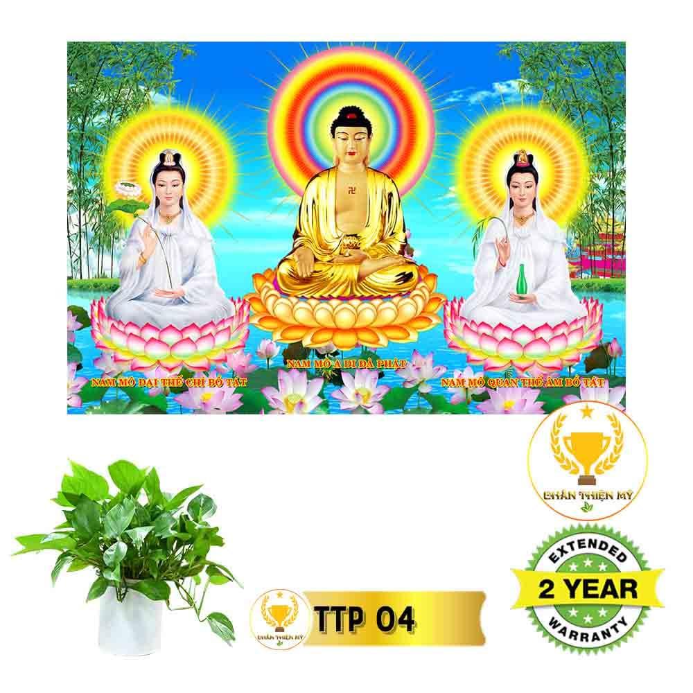 Tranh Tam Thế Phật có khung_TTPK1