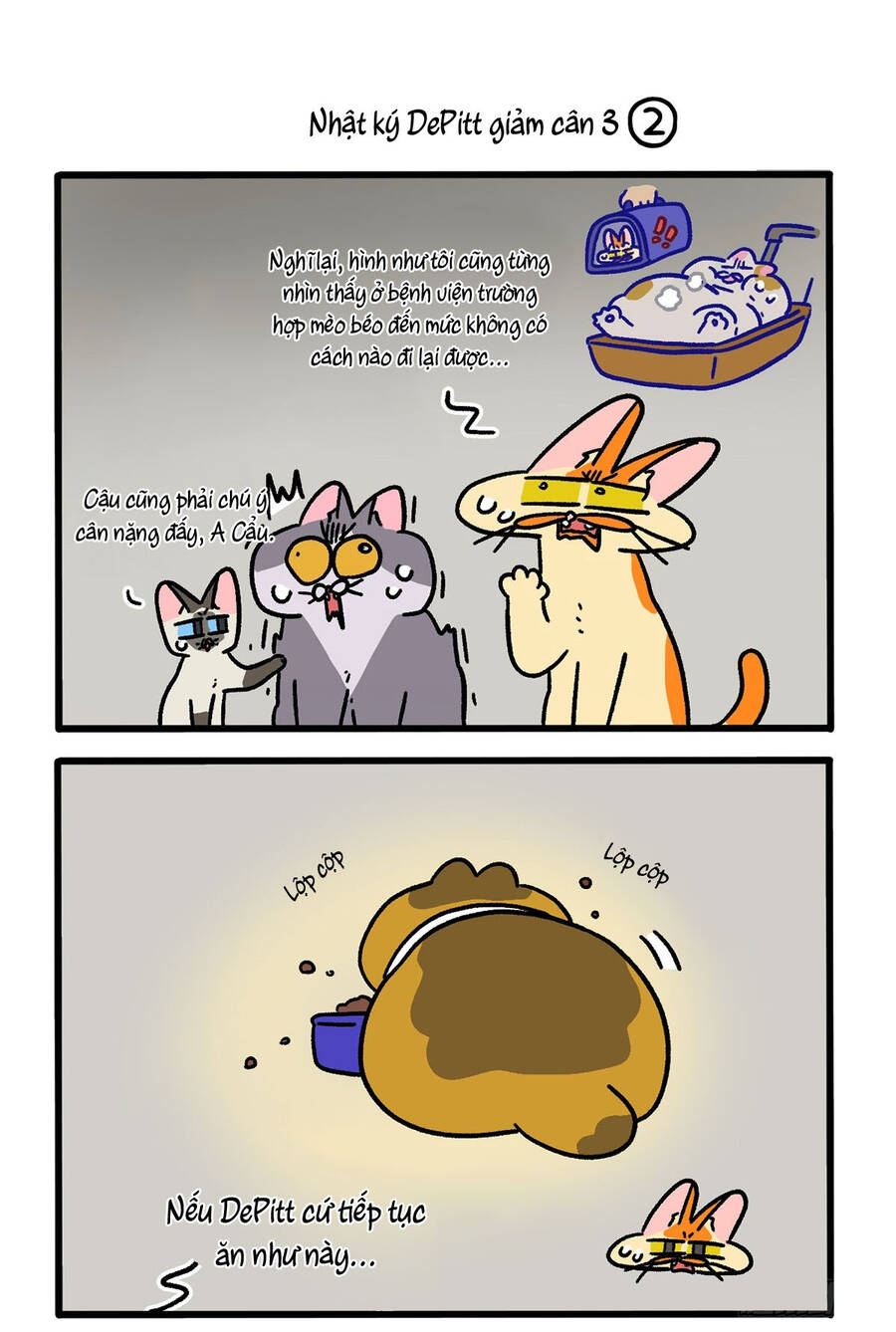 a mãn và mạch trà chapter 134 3