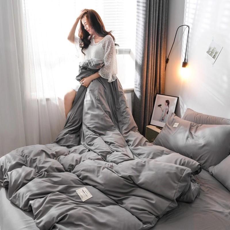 Bộ chăn ga gối cotton tici 5 món xám nhạt