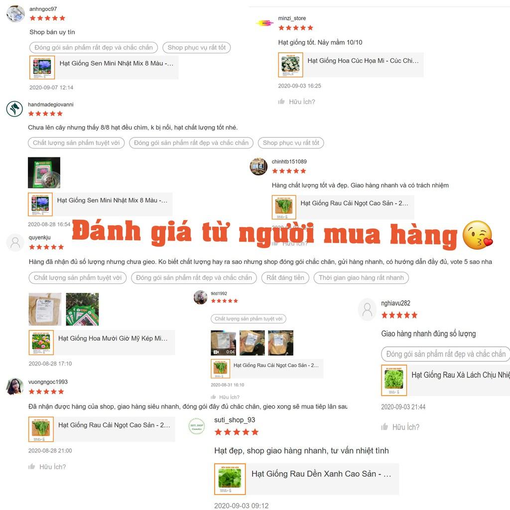 Hạt Giống Rau Mùi Tía Quy Cách 1500 / 100 Hạt - Khu Vườn Ban Công