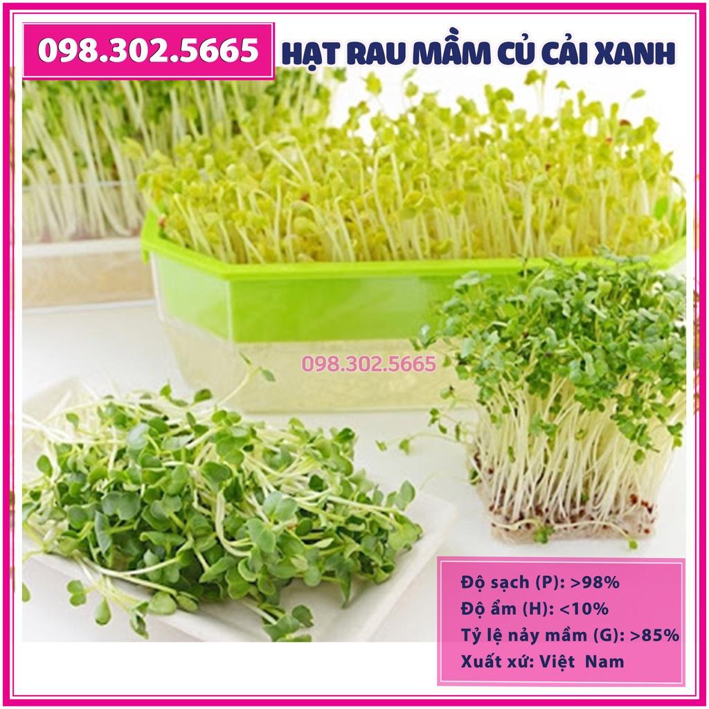 Hạt rau mầm rau Củ cải Trắng - gói 100g - Hạt chất lượng tốt, nảy mầm đều
