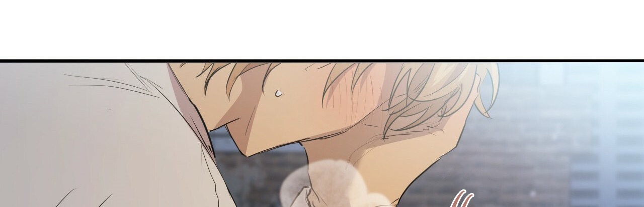 đàn thỏ của habibi chapter 22 490