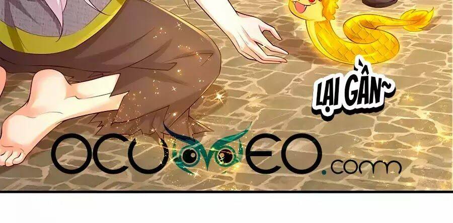 bỗng một ngày trở thành con gái nhà vua chapter 122 11