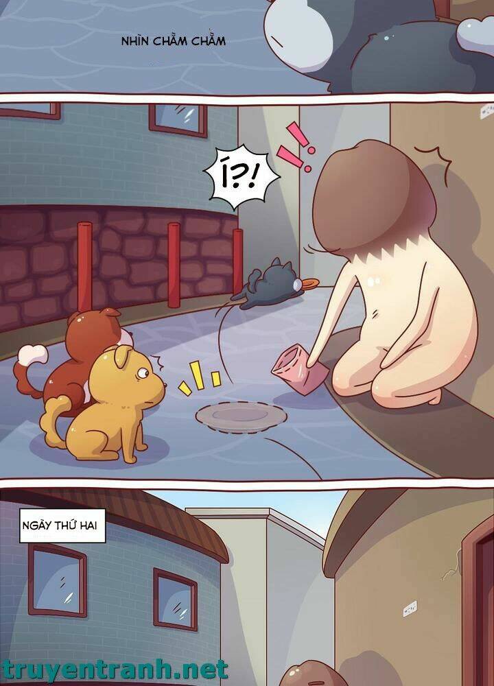 cây nấm kì khả chapter 10 3