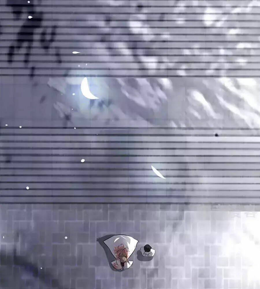 gian phi như thử đa kiều chapter 28 27