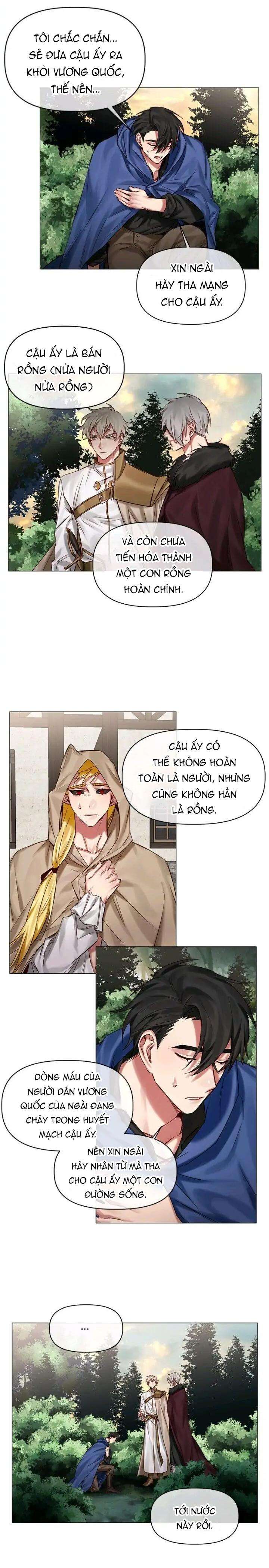 chàng hiệp sĩ và rồng vàng chapter 24 10