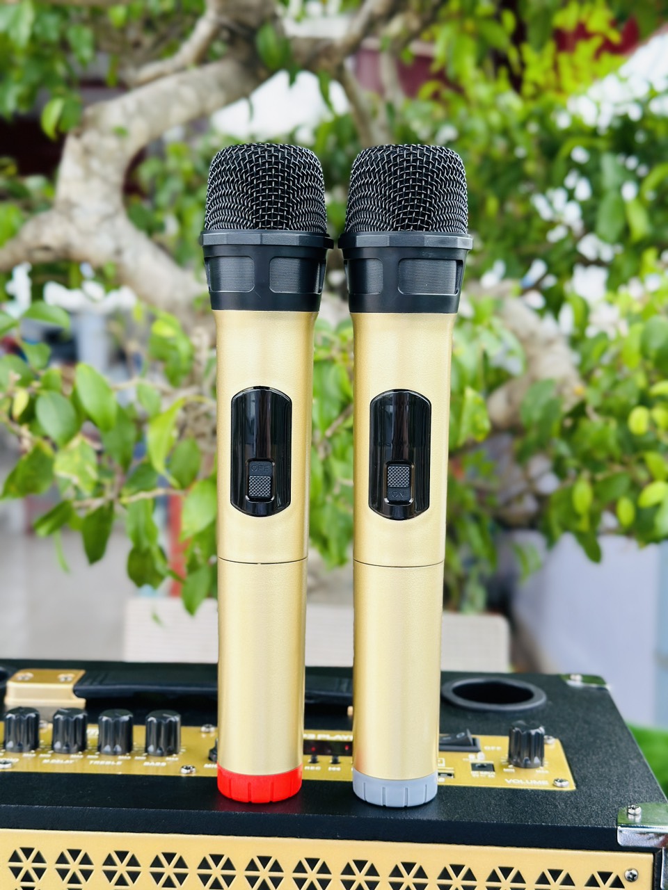 Loa Di Động Karaoke MTMAX B552 PLUS Viền Sắt Bass15 Chỉnh Bass, Treble, Delay, Echo Đa Dạng Cổng Kết Nối Âm Thanh Chân Thực Chi Tiết. HÀNG CHÍNH HÃNG