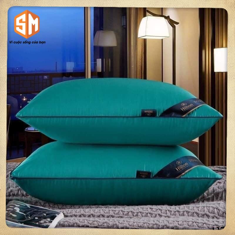 cặp Ruột gối đầu cao cấp Pillow Ép Hơi, Có Khoá Kéo -Kích Thước 45x65cm