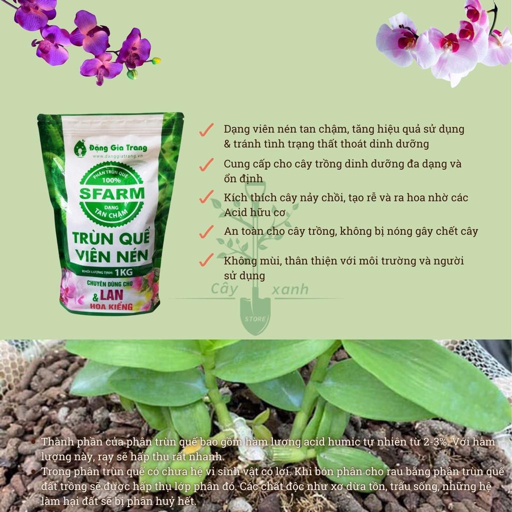 Phân Trùn Quế Cao Cấp Nguyên Chất Dạg Nén 1kg Sfarm