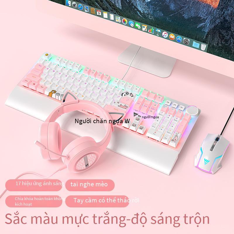 Giá Đặc Biệt Wrangler Đôi Phối Màu Chủ Đề Mèo Dễ Thương Bàn Phím Cơ Laptop Văn Phòng Dễ Thương Hoa Anh Đào Hồng Bàn Phím Cơ