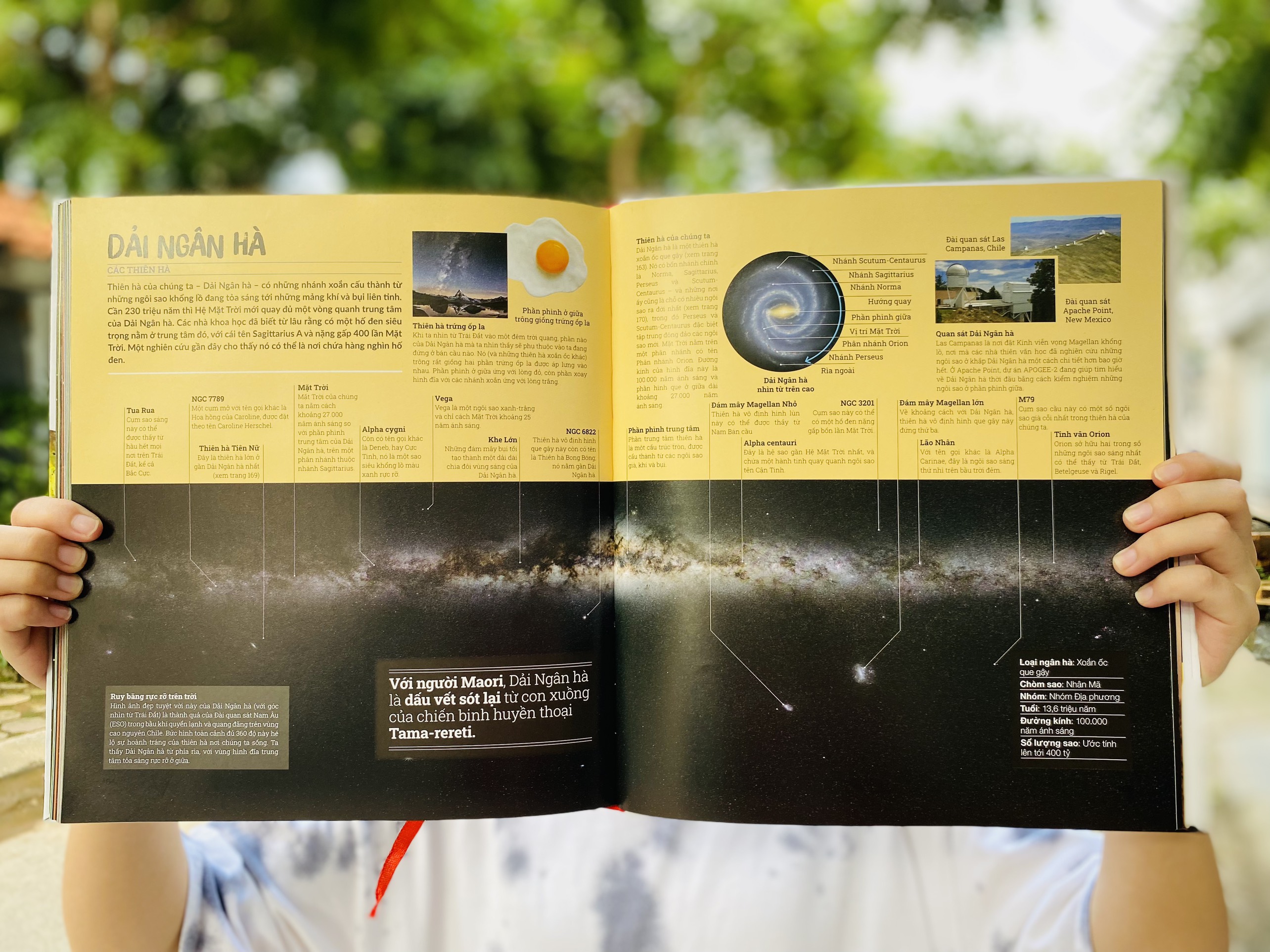 Combo sách Bí ẩn của lịch sử và Khám phá bí ẩn của không gian ( 2 cuốn ) sách bách khoa toàn thư kiến thức, bìa cứng in màu - Hiệu sách Genbooks