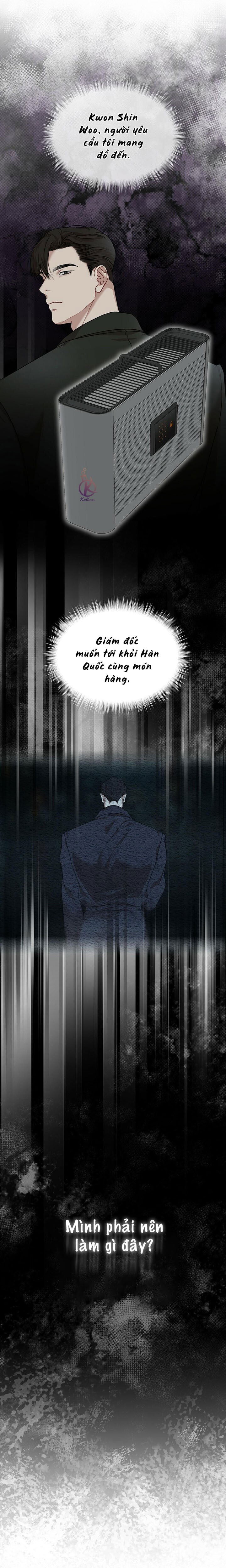 hình thái khởi sinh chapter 49 9