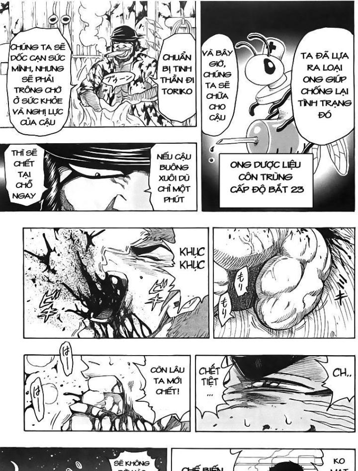 thánh tỏi sành ăn chapter 97 24