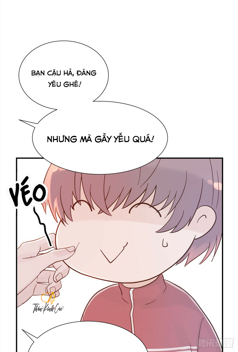 mối tình đầu gian nan của chu thành nhất chapter 33 42