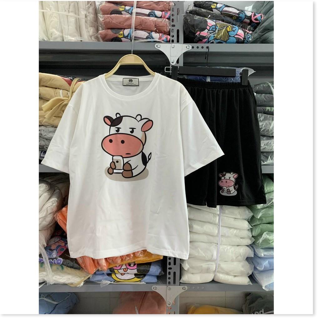 SET BỘ THUN COTTON NỮ XINH XẮN