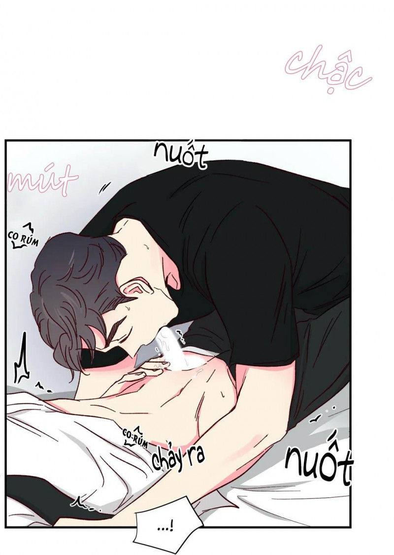 món tráng miệng của sếp tổng chapter 46 11