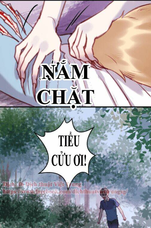 lượm được 1 tiểu hồ ly chapter 65 21