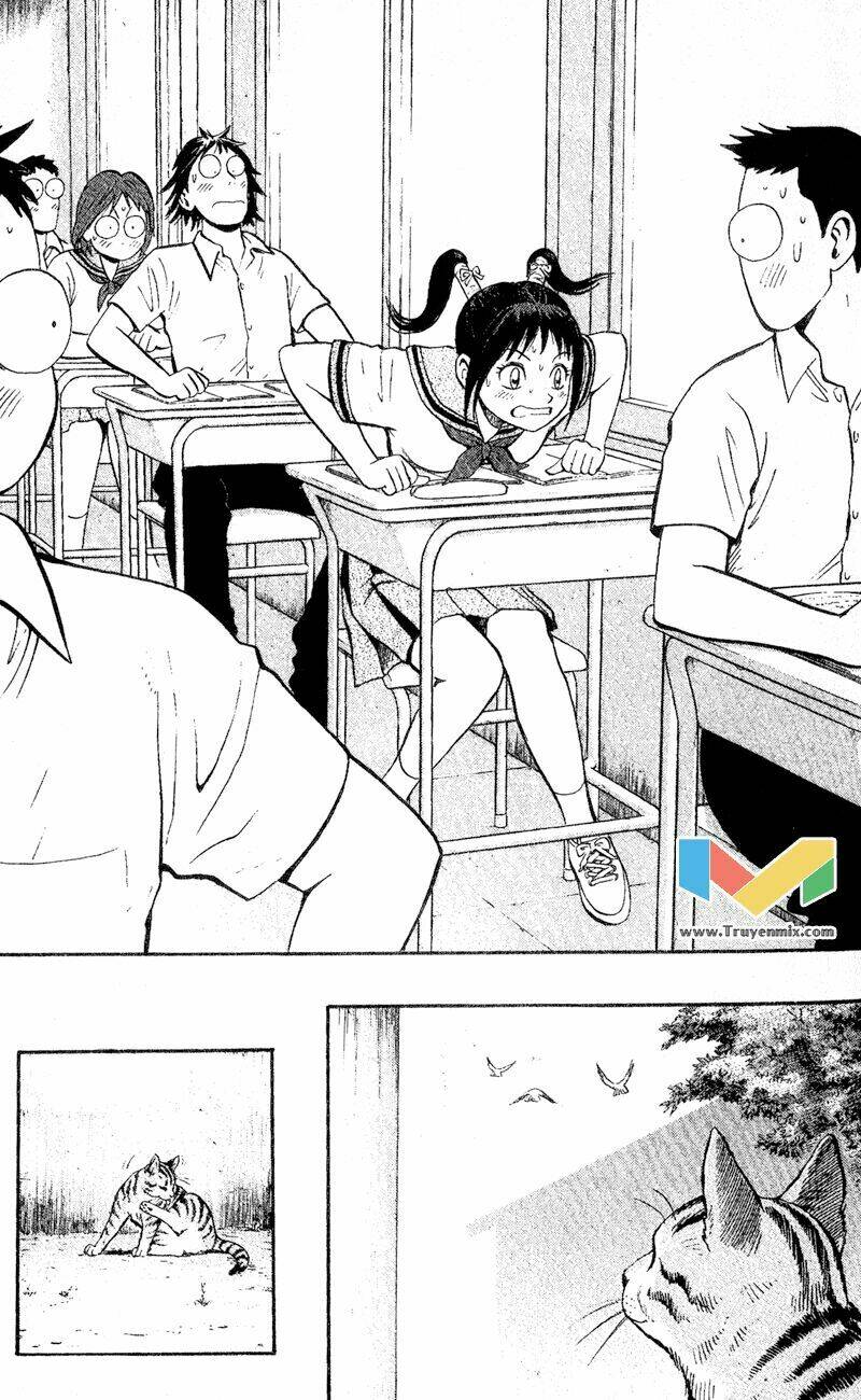 animal sense chapter 1 20