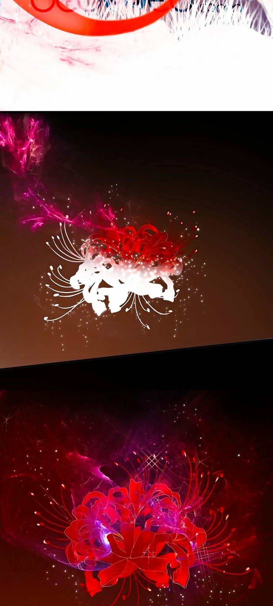 đóa hoa chớm nở chapter 74 43