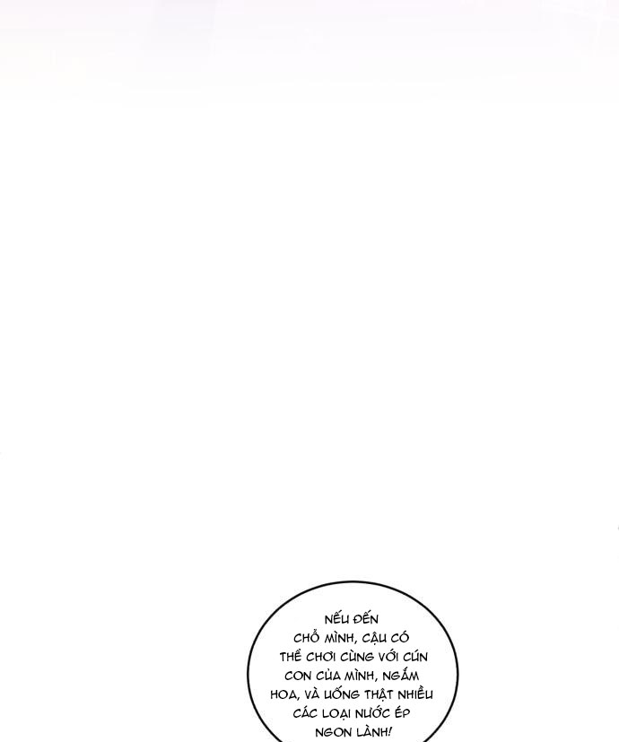 tôi trở thành nữ phản diện trong cuốn tiểu thuyết tàn khốc chapter 14.2 79