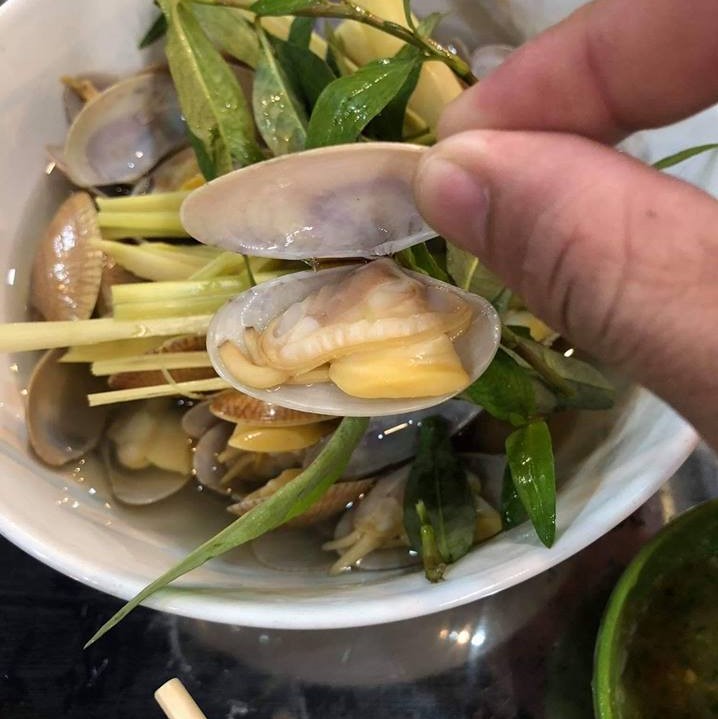 Ốc Chip Chip - Sò Lụa Sống