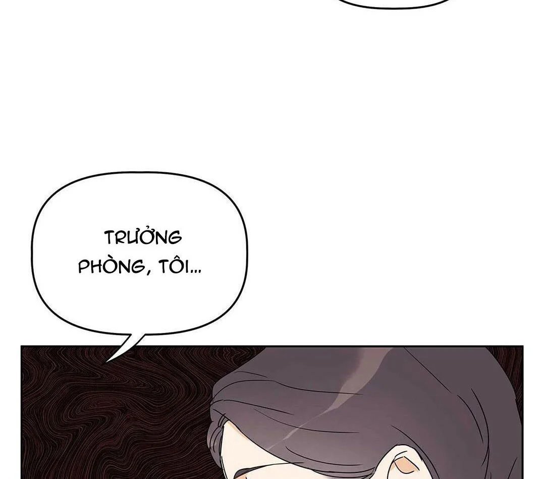 guide cấp b chapter 13 132