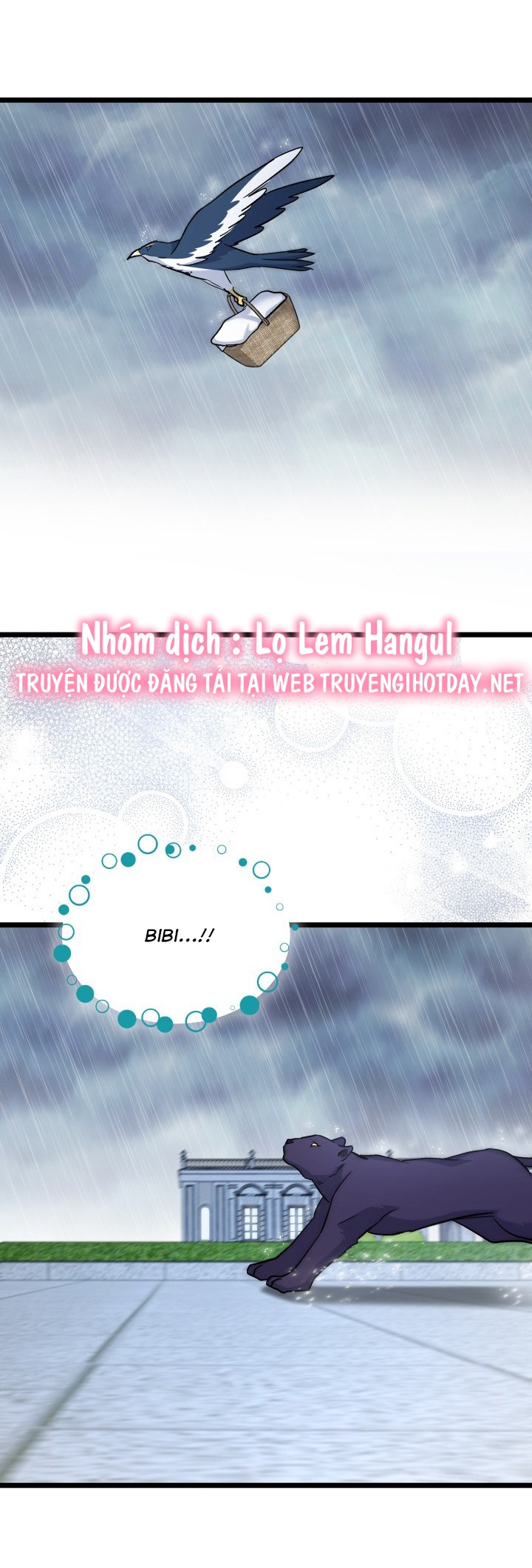 mối liên kết giữa báo đen và bé thỏ chapter 121 31