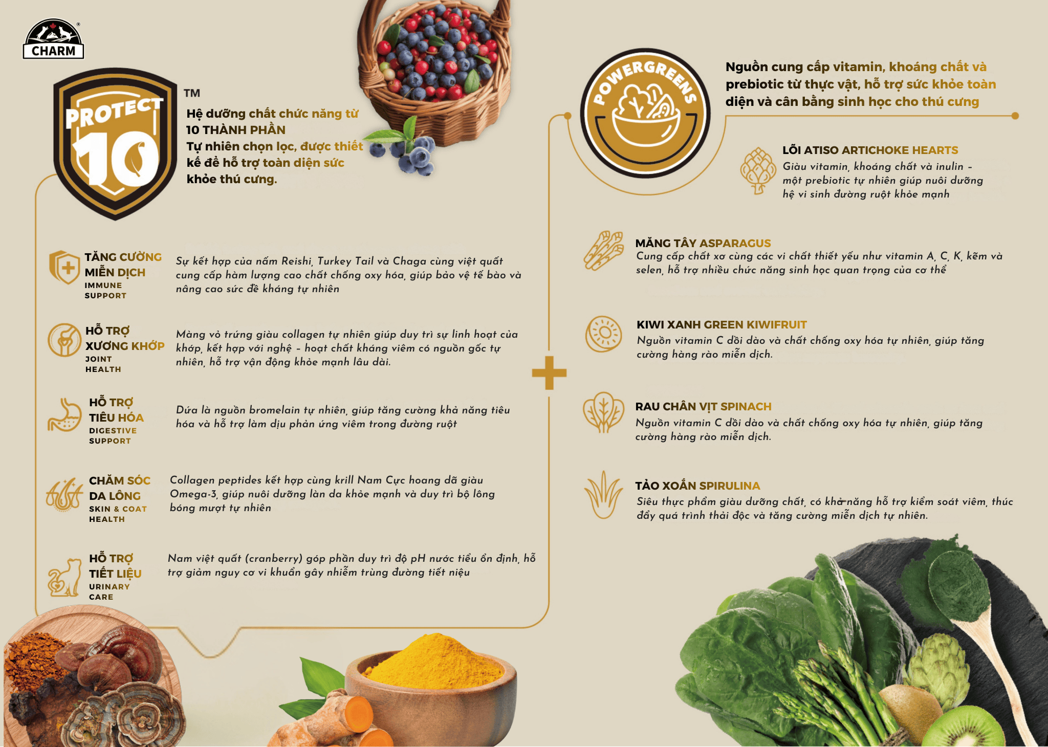 Thức Ăn Hạt Chó cao cấp Gà Cá CHARM Cage-Free Chicken Dog Food Canada- Chọn