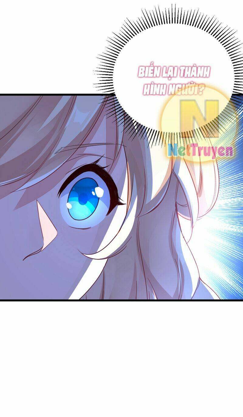 thiên thần gấu trúc muốn được ôm chapter 18 17