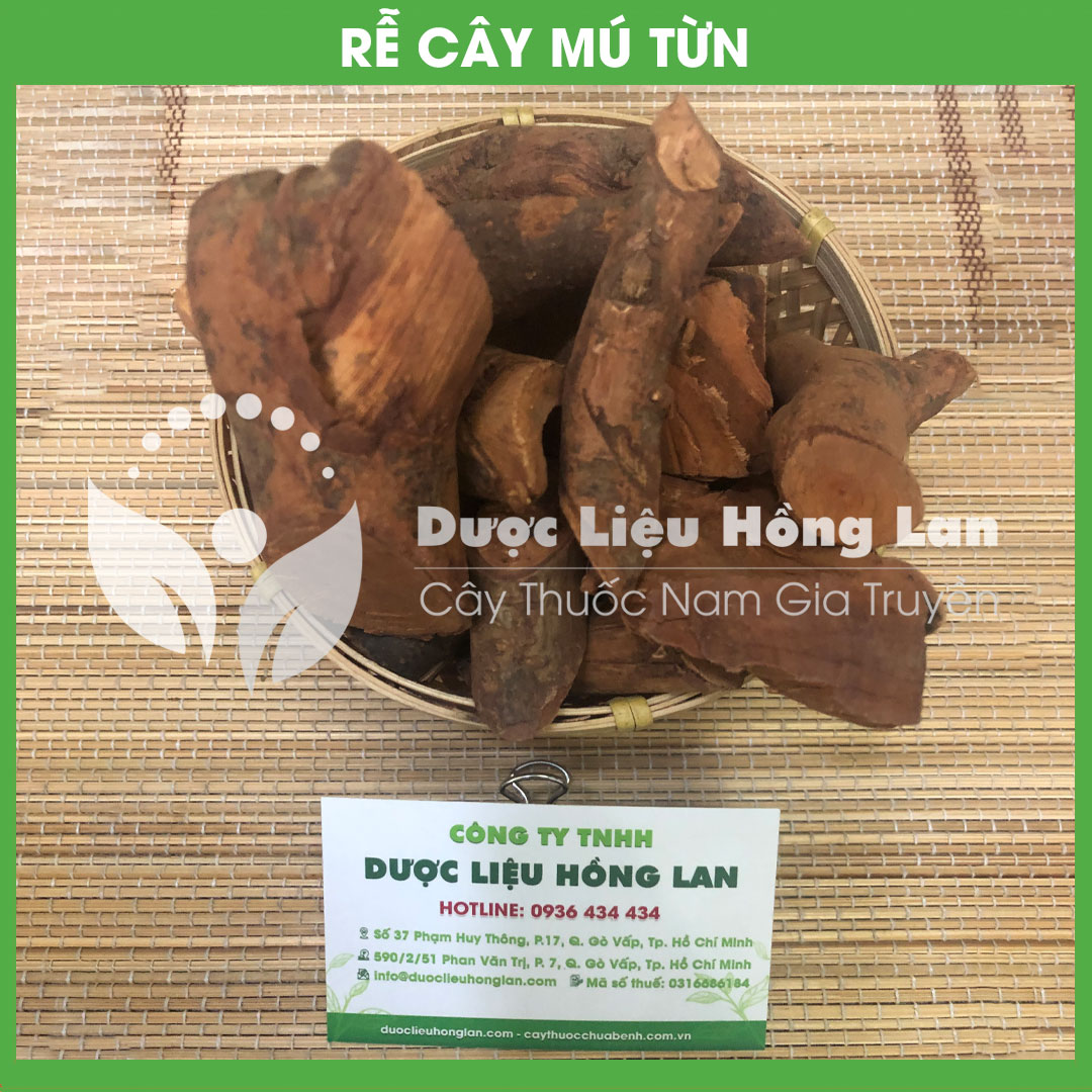 500g Rễ Cây Mú Từn (Cù boong nậu) khô