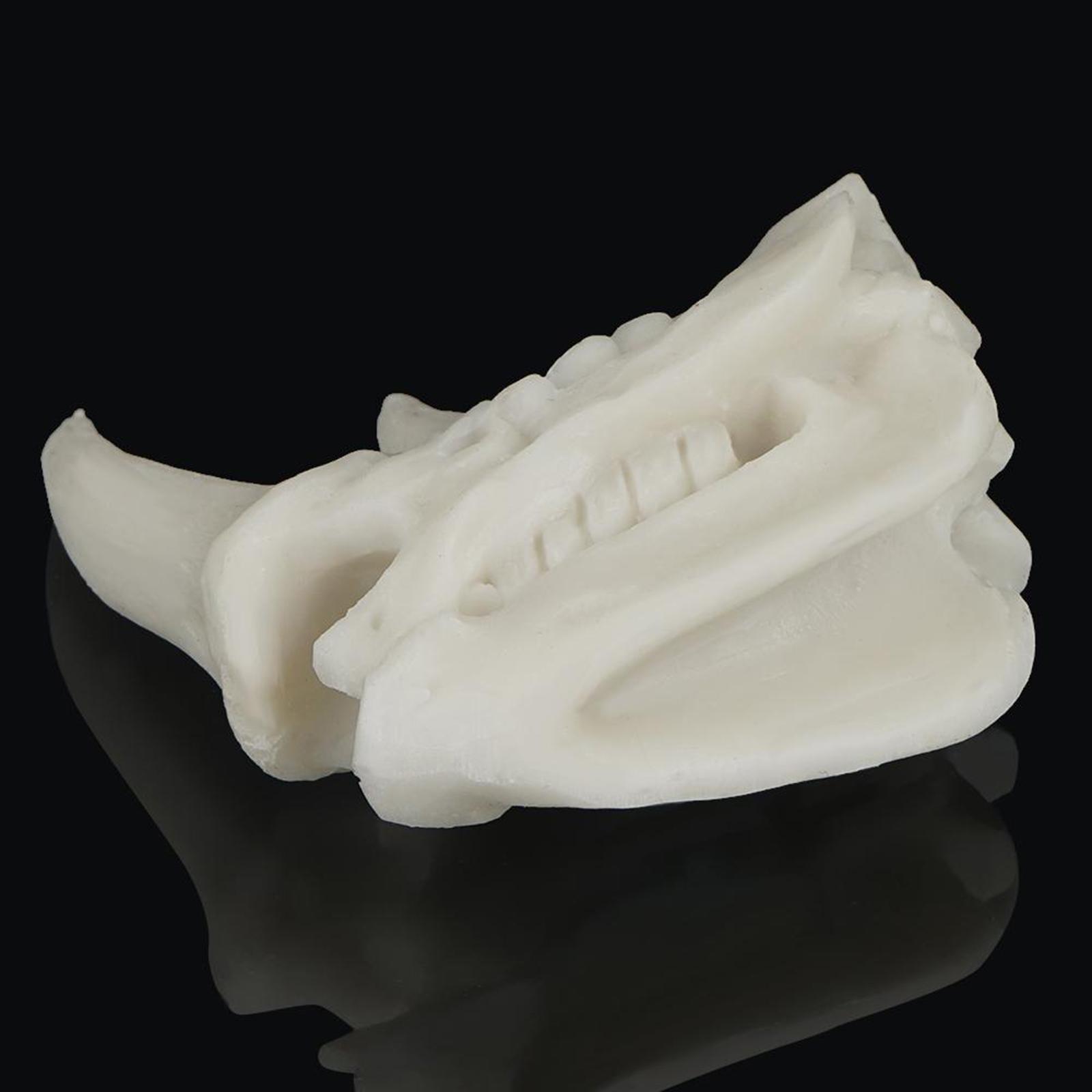 Aquarium Decoration Resin  Tank Decor Fishes Cave